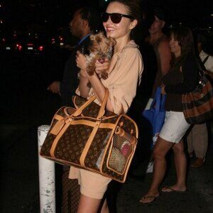 Authentic Louis Vuitton Sac Chien 40 Dog Carrier Monogram Pet Travel Bag Purse